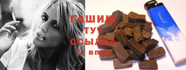 индика Михайлов