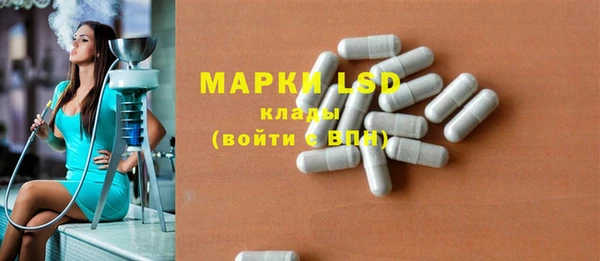 индика Михайлов