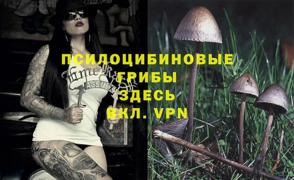 индика Михайлов