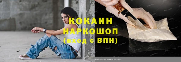 индика Михайлов