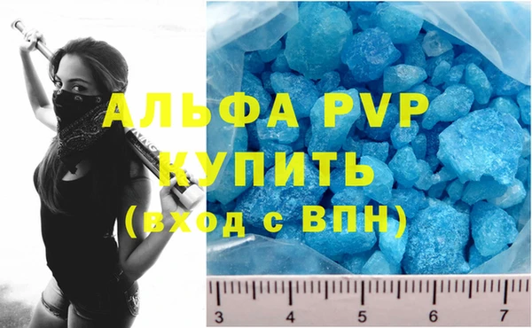 индика Михайлов