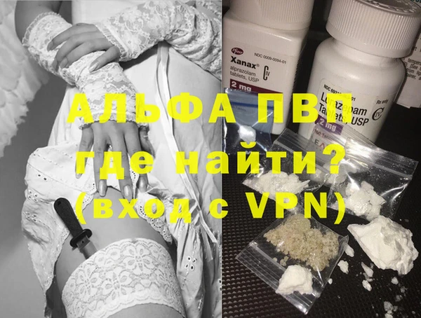 индика Михайлов