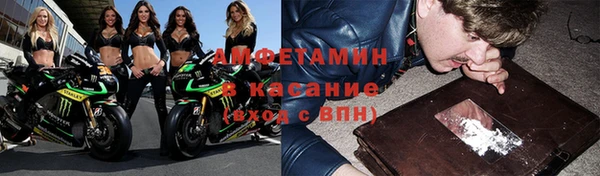 индика Михайлов