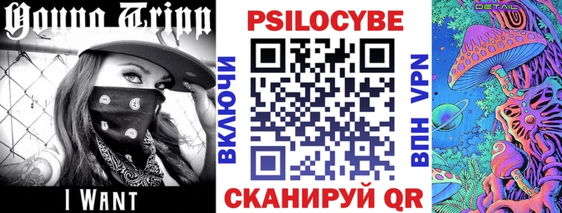 сайты даркнета наркотические препараты Ильский Псилоцибиновые грибы Psilocybe